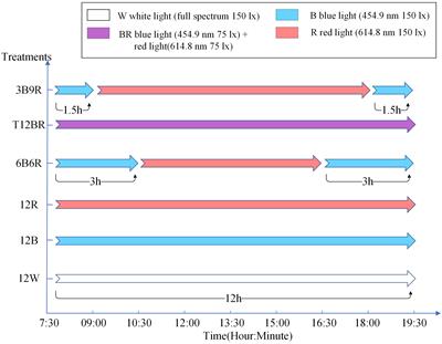 Behavior analysis of juvenile steelhead trout under blue and red light color conditions based on multiple object tracking